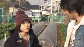 ハングリー瀧本美織向井理.jpg