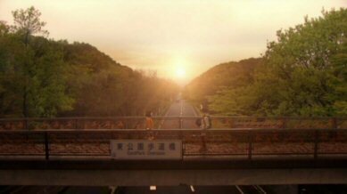 素直になれなくて夕日.jpg